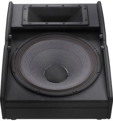 Electro-Voice TX1152FM | Monitor de Suelo 15" 2