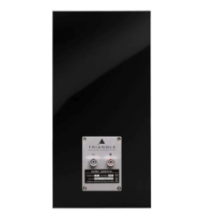 Triangle Esprit EZ Comete | Altavoz Hi-Fi de Estantería 2
