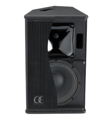 Audiophony S10 Altavoz Pasivo 10" 250W | Pro Sound