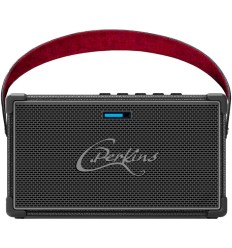 C.Perkins NASHVILLE-SOUND – Altavoz BT 60W Karaoke 2