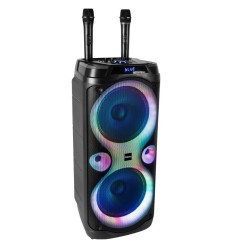 Ibiza Sound COLUMBA-KARAOKE | Altavoz PA 1000W