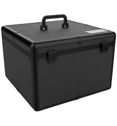 Audibax PRO-PAR: maleta flight case 4 focos PAR 56 2