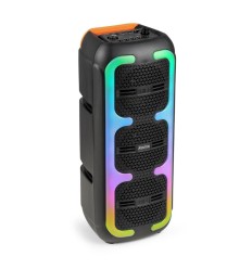 Fenton TRACK310 Altavoz Fiestas LED Batería 178.387 2
