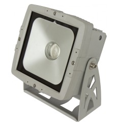 BRITEQ LDP-COBWASH 60TC | Foco LED COB RGB IP65