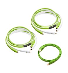 NEO d+ RCA Class B Pareja + USB 2.0 | CABLESET 2
