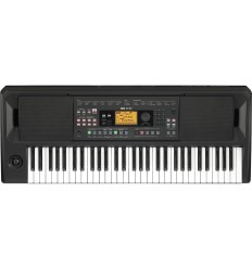 Korg EK-50 | Teclado de acompañamiento 61 teclas