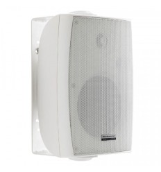 Audiophony EHP880W – Altavoz pasivo 80W 100V