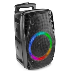 Fenton FT8LED-MK2 Sistema Portátil Sonido 8" 2