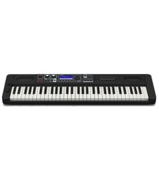 Casio CT-S500 | Teclado 61 teclas AiX 800 tonos 2